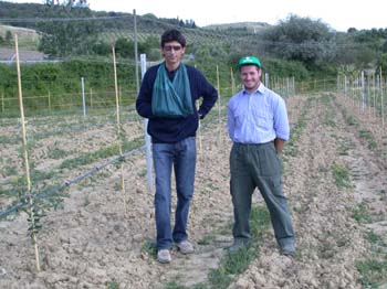 Agricola S. Andrea (Siena)