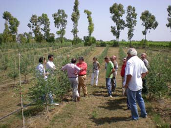 Consorzio Agrario Siena